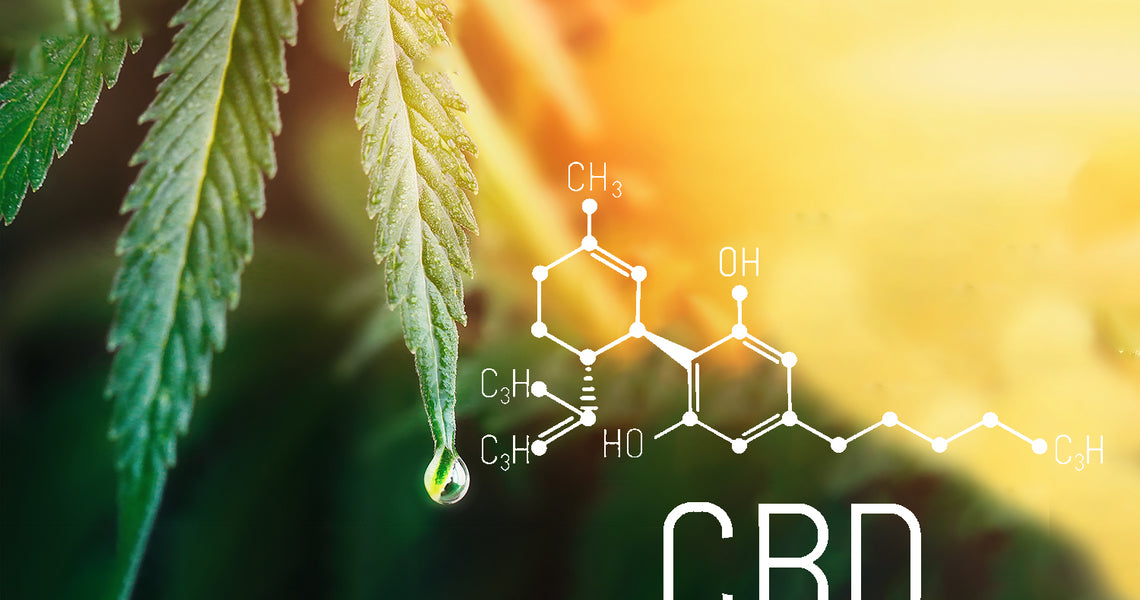 The Science behind CBD Flower